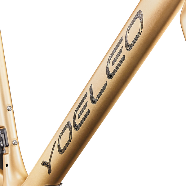 G21 Disc Brake Gravel Rammekit